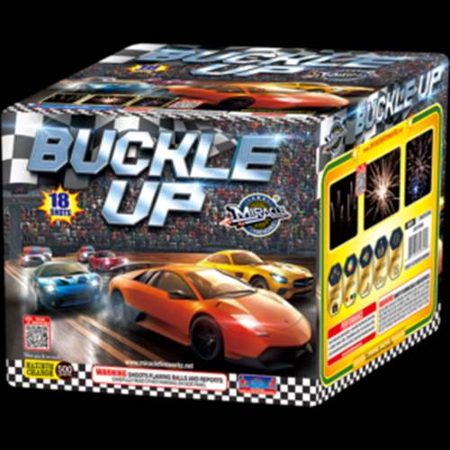Buckle Up - 18 Shots