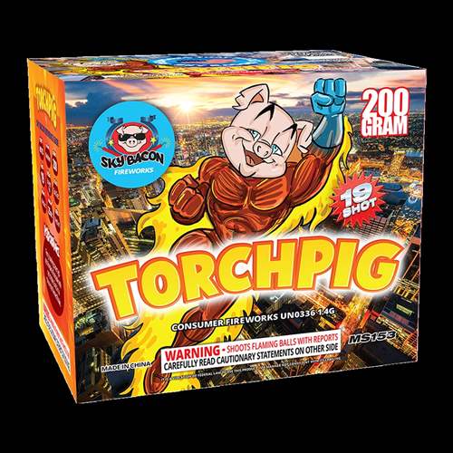 TorchPig - 19 Shots