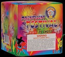 Magnificent Festival - 25 Shot Fireworks Cake - Brothers
