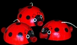 Ladybugs - Bulk