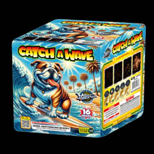 Catch A Wave - 16 Shots